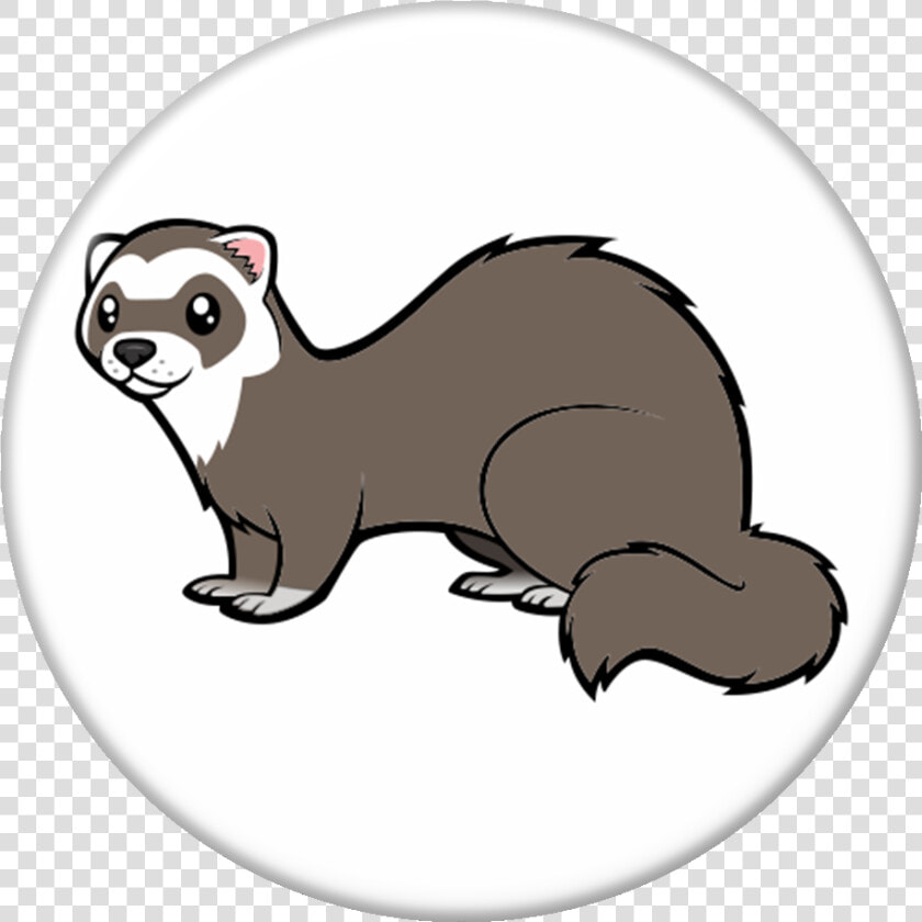 Transparent Weasel Png   Cartoonize My Pet Ferret  Png DownloadTransparent PNG