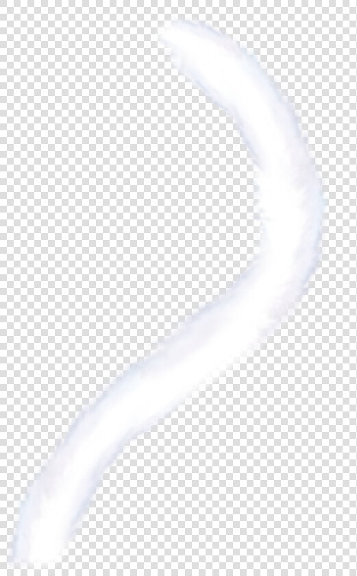  cattail  cat  tail  freetoedit   Macro Photography  HD Png DownloadTransparent PNG