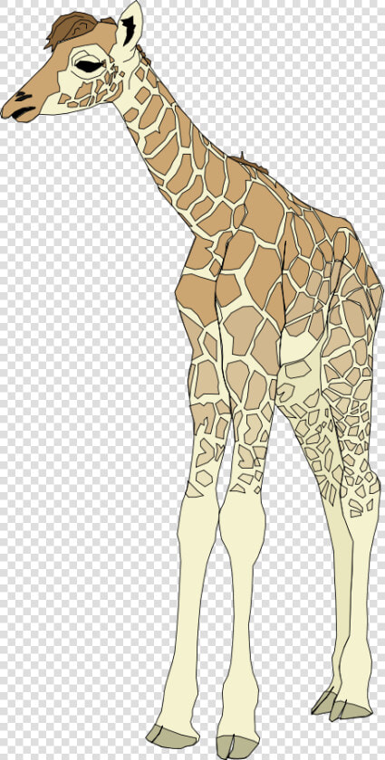 Baby Giraffe Svg Clip Arts   Giraffe Clip Art  HD Png DownloadTransparent PNG