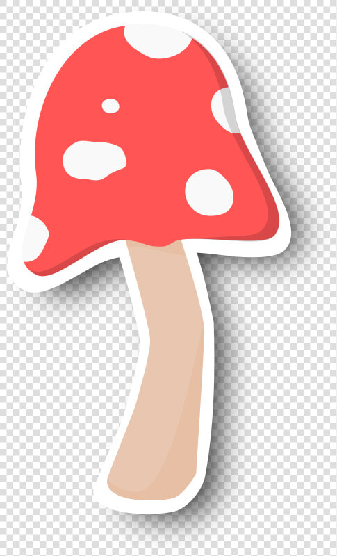 This Png File Is About Toadstool   Cut Out   Shroom   Shiitake  Transparent PngTransparent PNG
