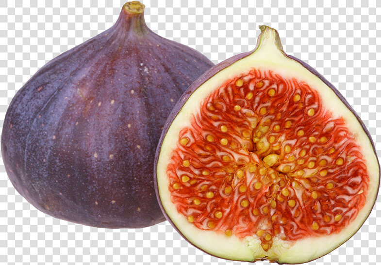 Common Fig   Png Download   Fig Png Transparent Background  Png DownloadTransparent PNG