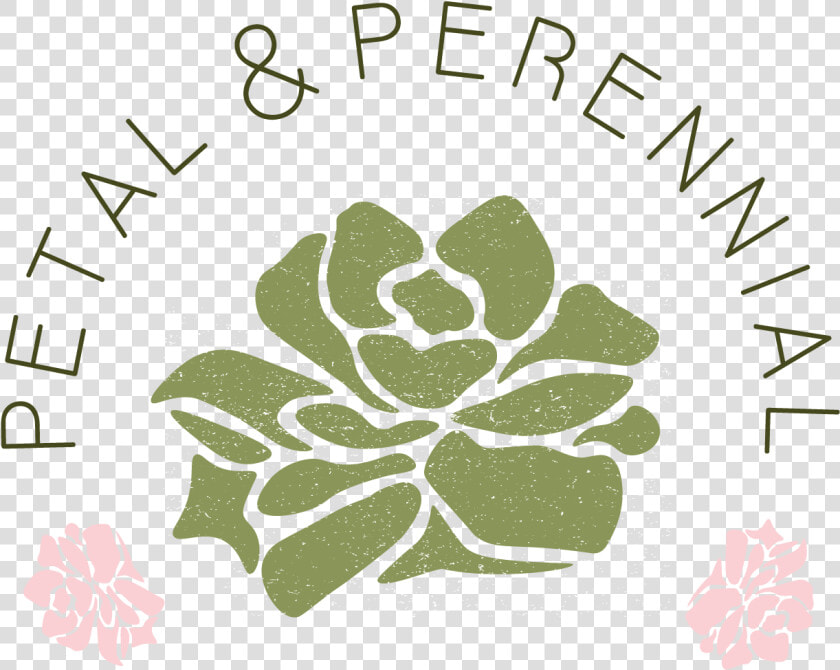 Tagetes Patula  HD Png DownloadTransparent PNG
