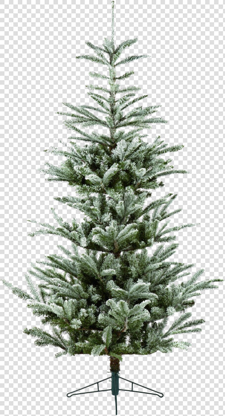 Fir Tree Png Hd Wallpaper   Buy 4 Foot Christmas Tree Nz  Transparent PngTransparent PNG