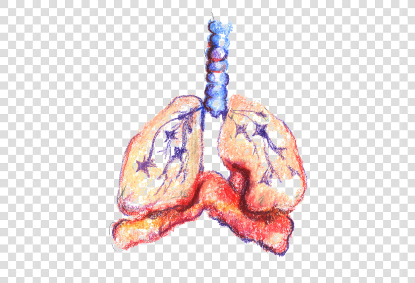 Bronchial Spasms  HD Png DownloadTransparent PNG