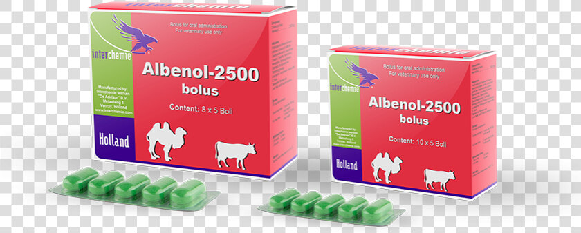 Albenol 2500 Bolus   Albendazole Bolus 2500 Mg  HD Png DownloadTransparent PNG
