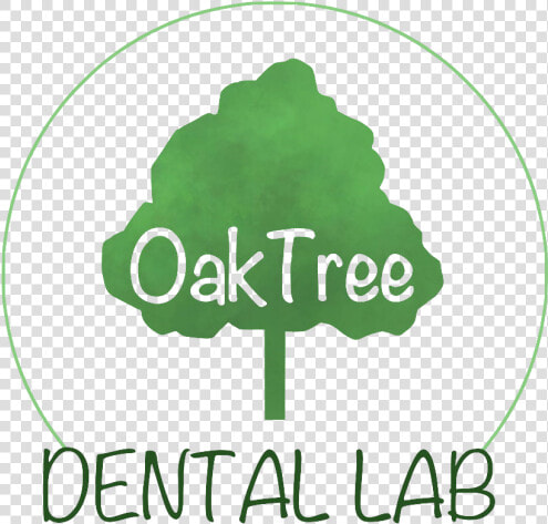 Oaktreelogo For Website   South African Sports Confederation And Olympic Committee  HD Png DownloadTransparent PNG
