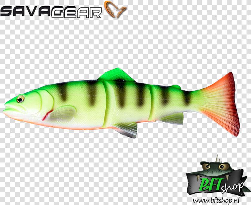 Savage Gear 3d Line thru Trout   Savage Gear Line Thru Brown Trout  HD Png DownloadTransparent PNG