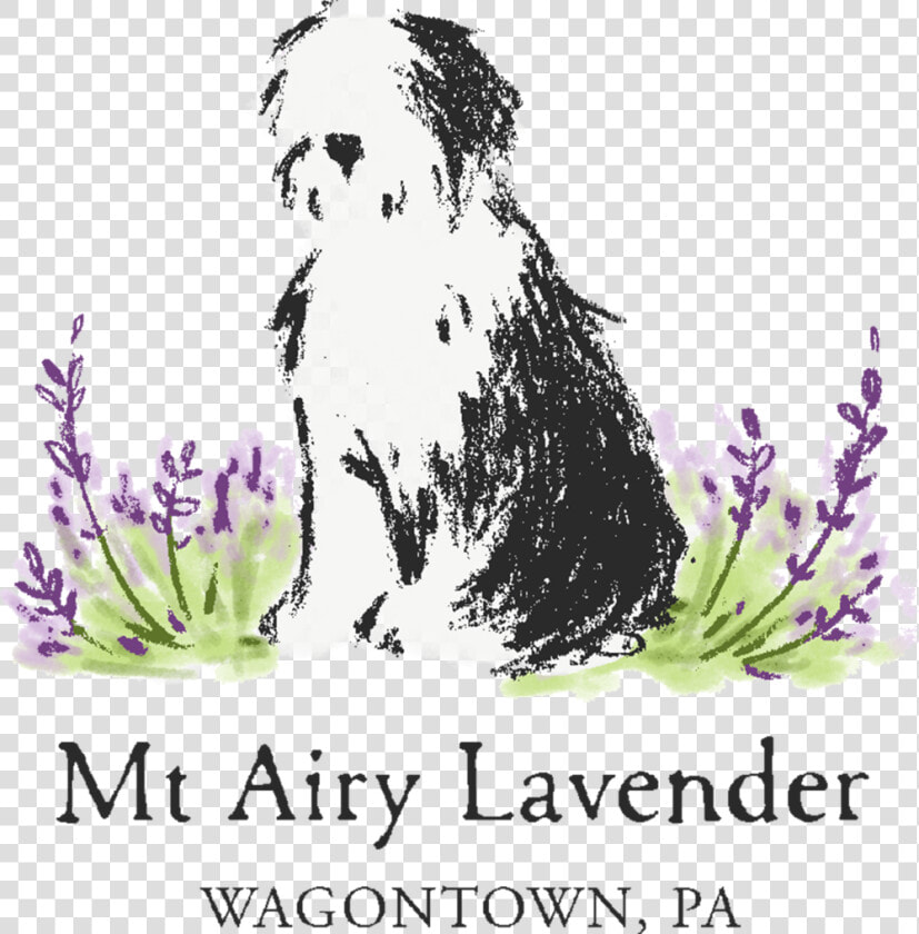 Lavander Png  Transparent PngTransparent PNG