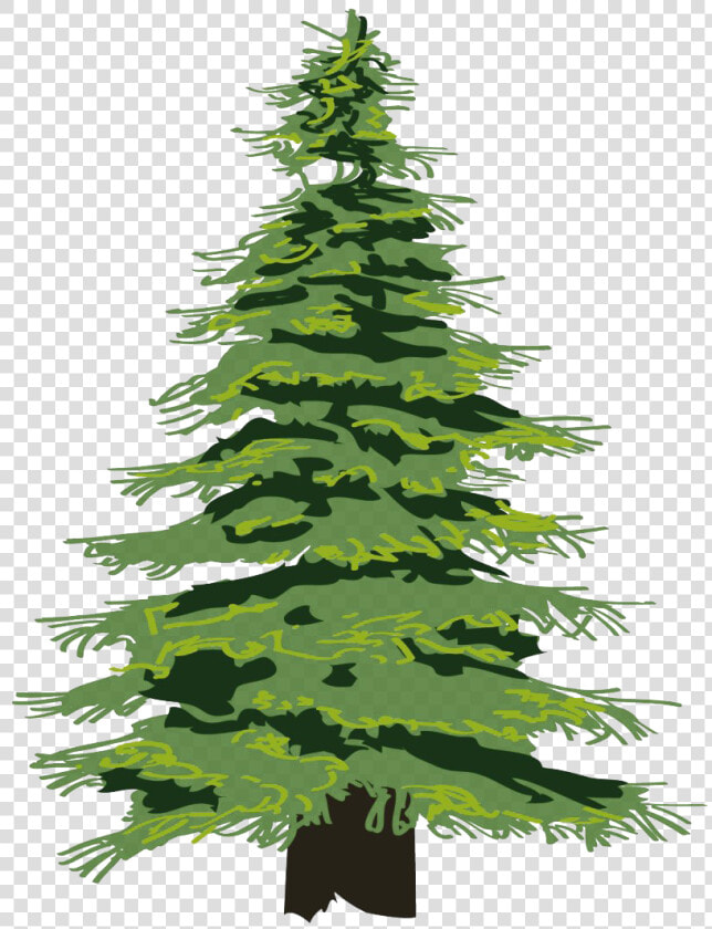 Cedar Tree Transparent Png   Transparent Pine Tree Clipart  Png DownloadTransparent PNG