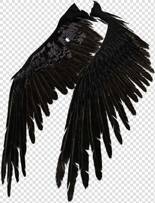 Transparent Eagle Wings Spread Clipart Black And White   Black Angel Wings Png  Png DownloadTransparent PNG