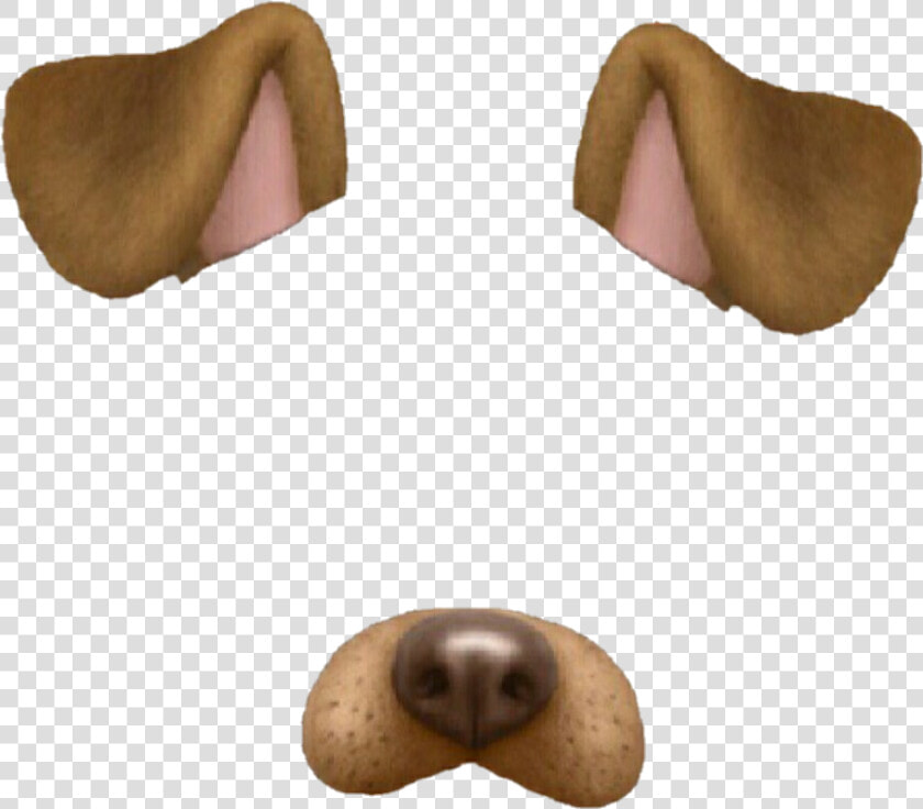 Snapchat Tumblr Overlay Dog Perro Brown Marrón   Dog Ears Snapchat Filter  HD Png DownloadTransparent PNG