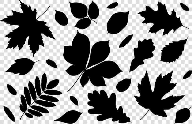 Autumn Leaves Silhouettes   Autumn Leaves Silhouette  HD Png DownloadTransparent PNG