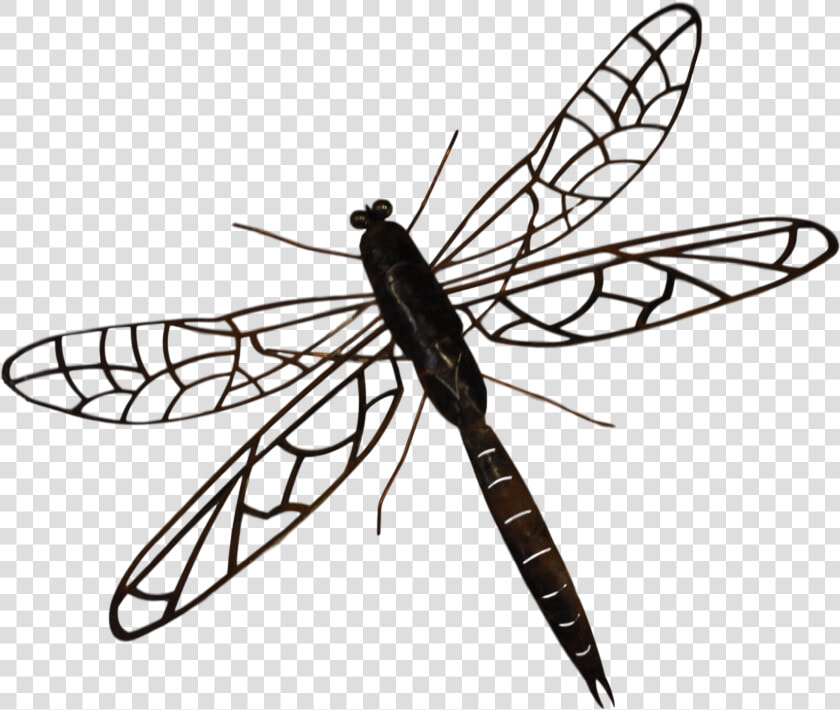 Indigo  HD Png DownloadTransparent PNG