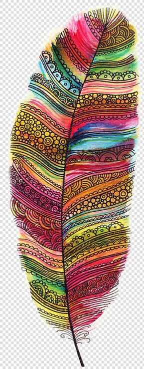  boho  bohemian  feather  feathers  freetoedit   Colourful Feathers Of Birds  HD Png DownloadTransparent PNG