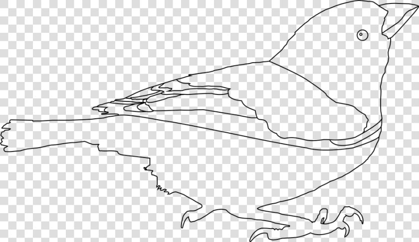 Black And White  Line Art  Art Bard  Drawn  Artist   Sort Hvid Stregtegning Png  Transparent PngTransparent PNG