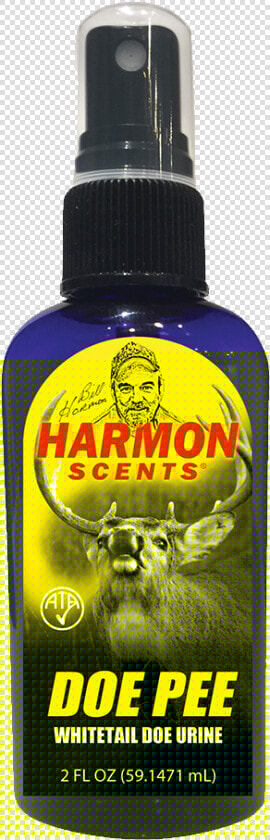 Doe Pee   Mane  HD Png DownloadTransparent PNG