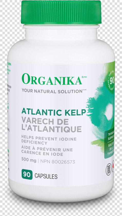 Organika Alpha Lipoic Acid 100mg 60capsules  HD Png DownloadTransparent PNG