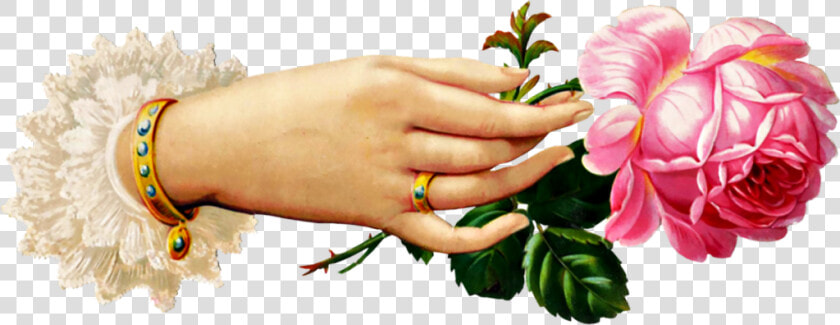 Victorian Rose Cliparts   Victorian Hand Holding Flower  HD Png DownloadTransparent PNG