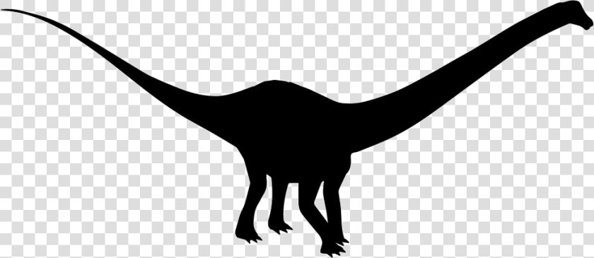 Diplodocus Dinosaur Shape   Black Diplodocus Transparent  HD Png DownloadTransparent PNG