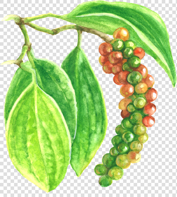 Black Pepper Extract   Seedless Fruit  HD Png DownloadTransparent PNG