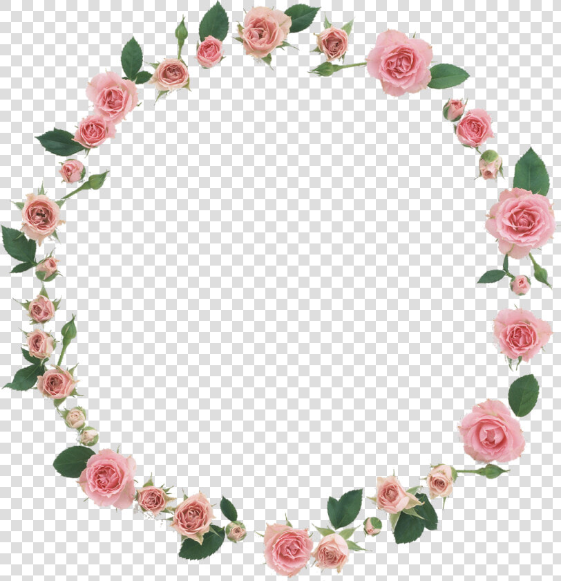  freetoedit  roses  tumblr  transparent  background   Transparent Background Roses Frame Png  Png DownloadTransparent PNG