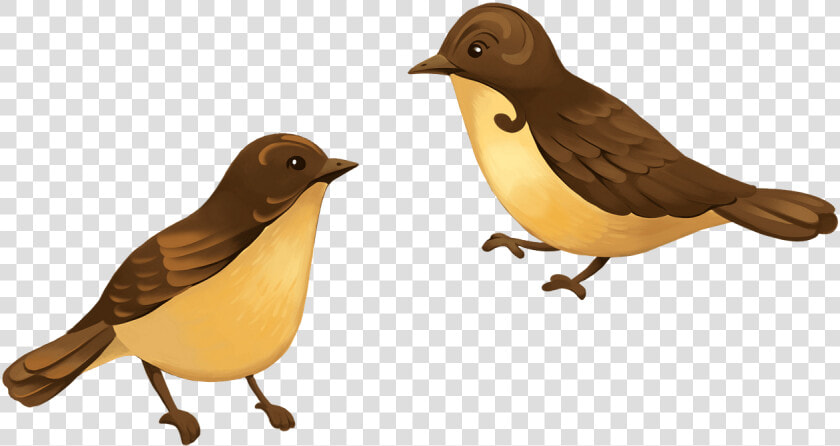 Finch  HD Png DownloadTransparent PNG