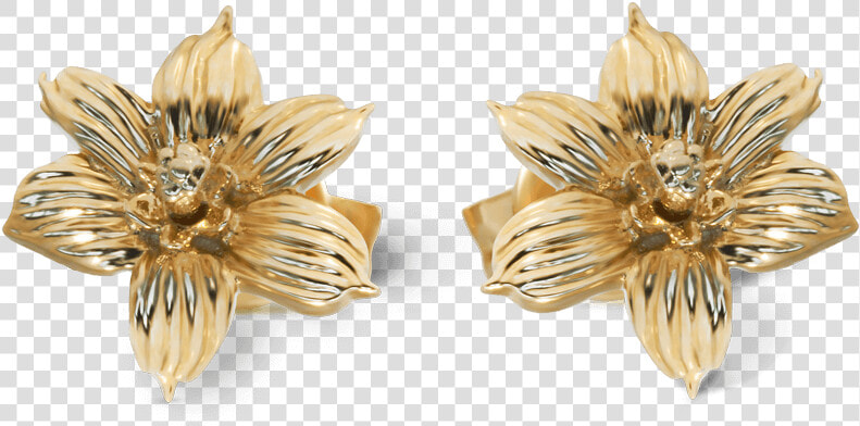 Yellow Gold Bermudiana Flower Earrings   Earrings  HD Png DownloadTransparent PNG