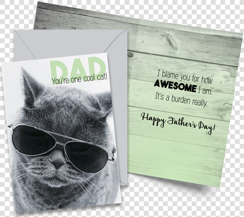 Cat Wearing Aviator Glasses  HD Png DownloadTransparent PNG