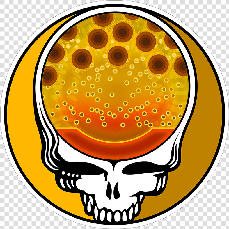 Transparent Steal Your Face Png   Black Steal Your Face  Png DownloadTransparent PNG