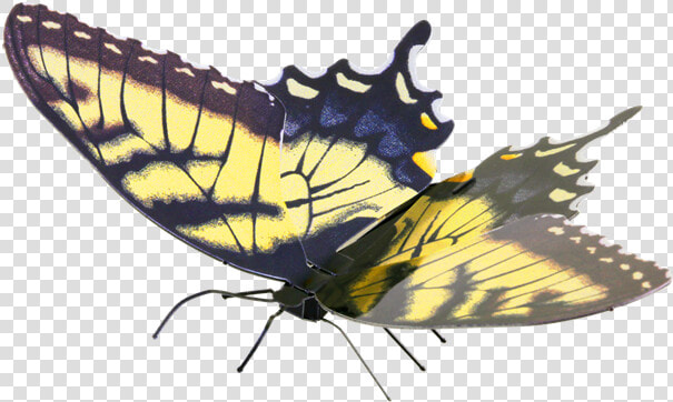 Metal Earth Butterflies   Metal Earth Butterfly  HD Png DownloadTransparent PNG