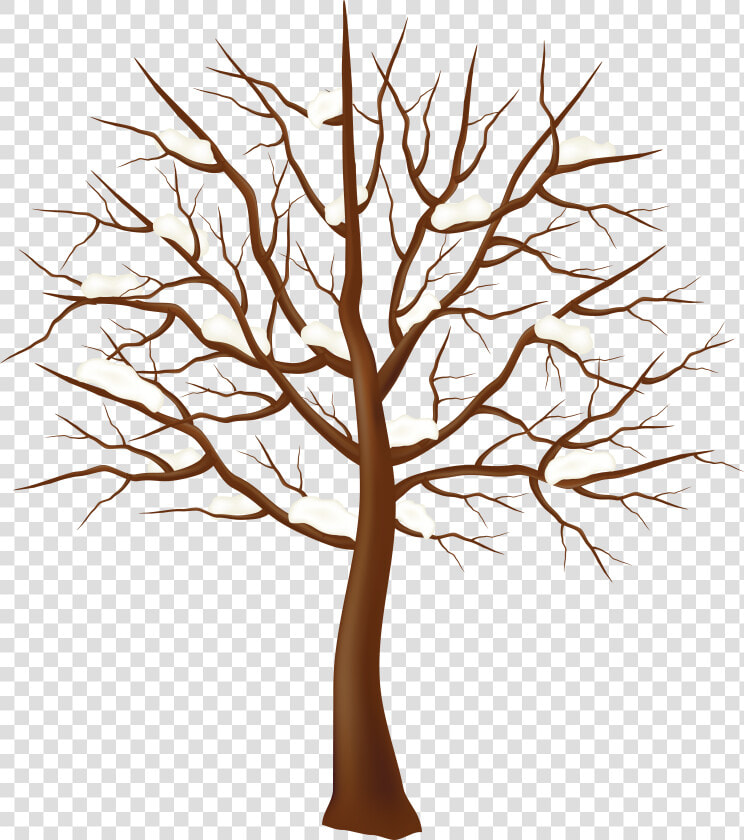 Tree Winter Clip Art   Transparent Tree Branches Clipart  HD Png DownloadTransparent PNG