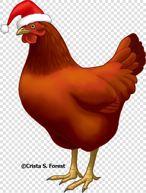 Well  Looks Are Deceiving   Chicken With Santa Hat  HD Png DownloadTransparent PNG