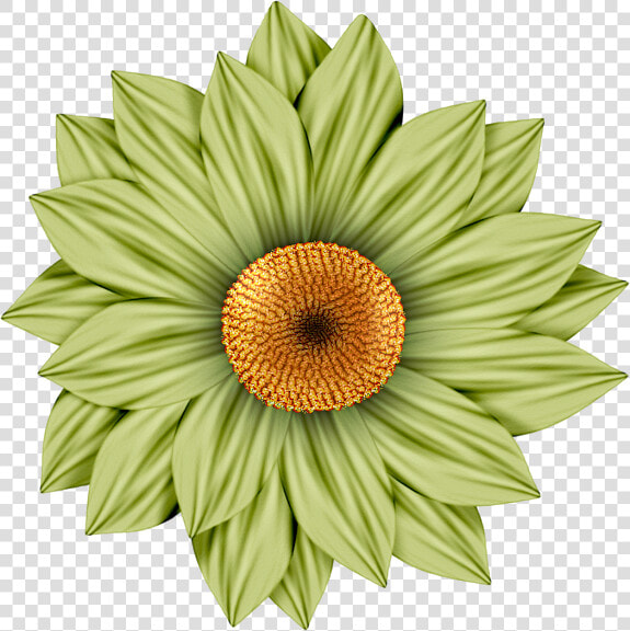 Flower Clipart Picasa Scrap   Flowers Clip Art 3d  HD Png DownloadTransparent PNG