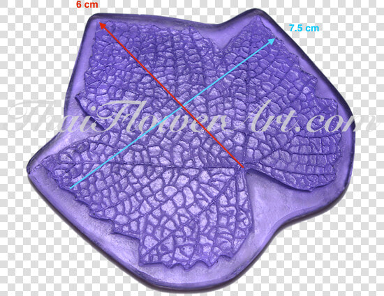Coin Purse  HD Png DownloadTransparent PNG