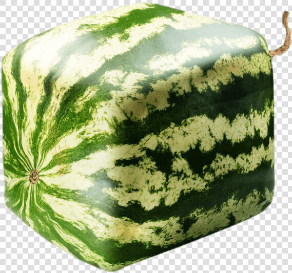 Square Watermelon   Square Watermelon Cut In Half  HD Png DownloadTransparent PNG