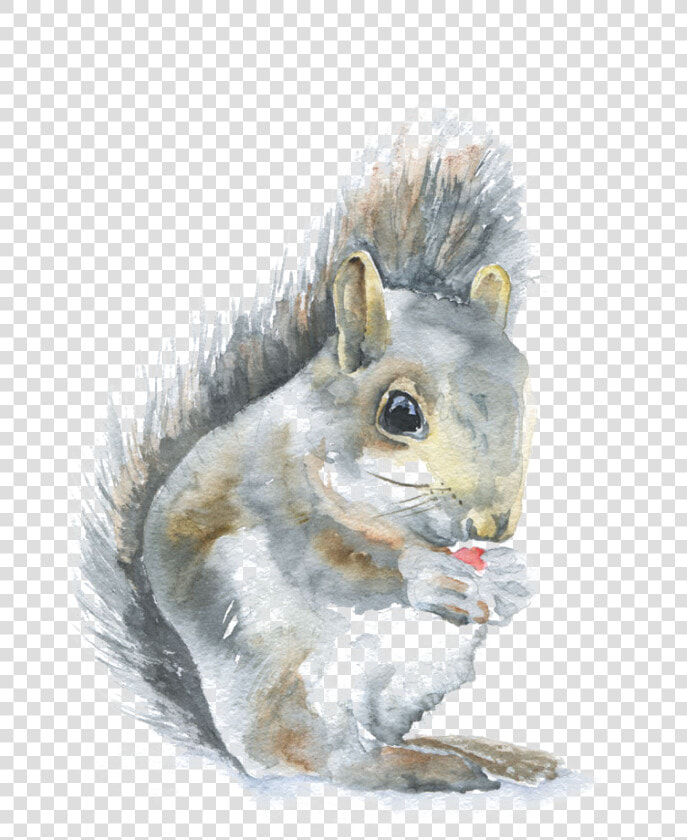Paintings Of Woodland Animals   Png Download   Susan Windsor Watercolor  Transparent PngTransparent PNG