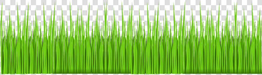 Grass  Green  Lawn  Garden  Nature  Summer  Spring   การ์ตูน กราฟฟิก รูป หญ้า  HD Png DownloadTransparent PNG