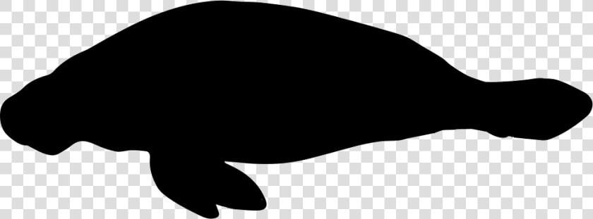 Manatee Shape   Whale  HD Png DownloadTransparent PNG