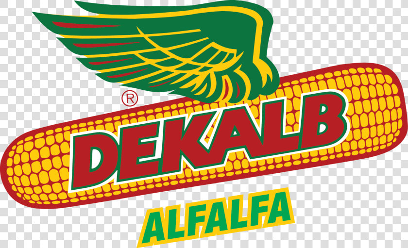 Dekalb Corn  HD Png DownloadTransparent PNG