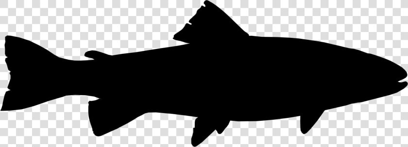 Rainbow Trout Free Commercial   Brook Trout Silhouette  HD Png DownloadTransparent PNG