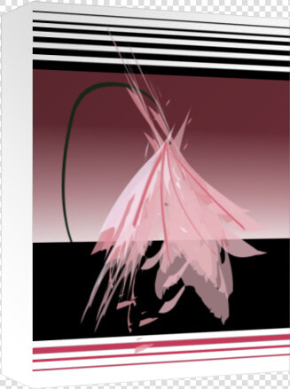 Pink Japanese Flower   Jellyfish  HD Png DownloadTransparent PNG
