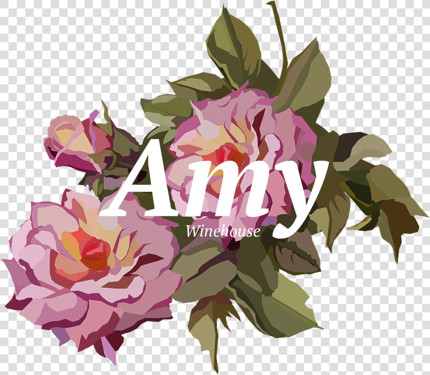 Bougainvillea  HD Png DownloadTransparent PNG
