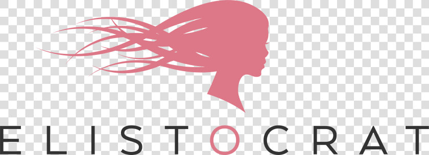 Hairdresser Directory  HD Png DownloadTransparent PNG