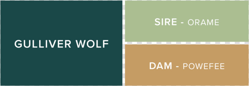 Gulliver wolf   Graphic Design  HD Png DownloadTransparent PNG