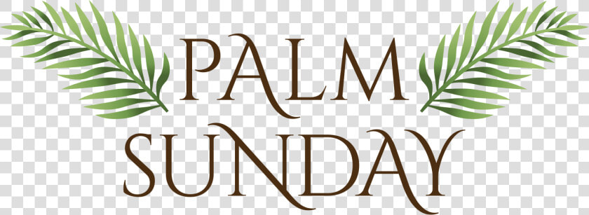 Transparent Palm Sunday Clip Art   Ancient Roman Font  HD Png DownloadTransparent PNG