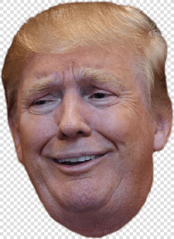 Trump Funny Face   Trump Head Transparent Background  HD Png DownloadTransparent PNG