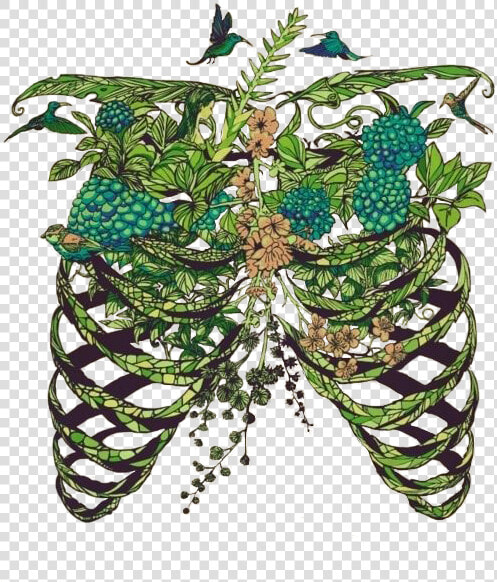 Birds Hippie Hipster Boho Indie Flower Flowers Nature   Flower Ribs  HD Png DownloadTransparent PNG