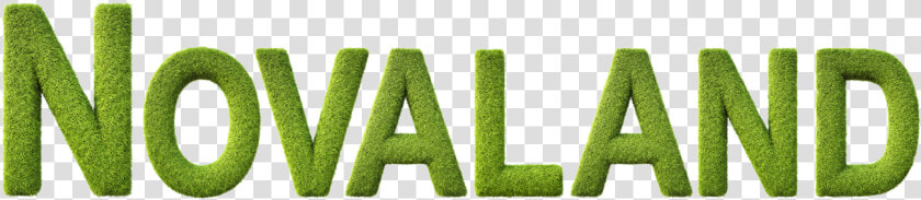 Hedge  HD Png DownloadTransparent PNG