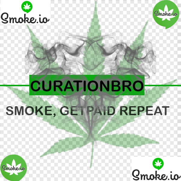 Curatio   Evergreen  HD Png DownloadTransparent PNG