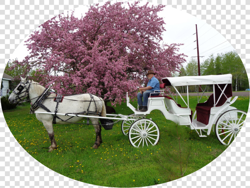 We Are Cathy  Owner  And Partner Roger  Operator  Of   Chaise  HD Png DownloadTransparent PNG
